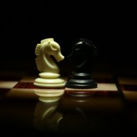 two-white-and-black-chess-knights-facing-each-other-on-chess-839428