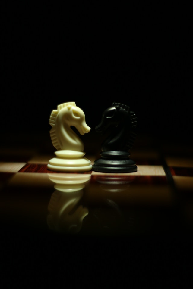 Two white and black chess knights facing each other on chess 839428