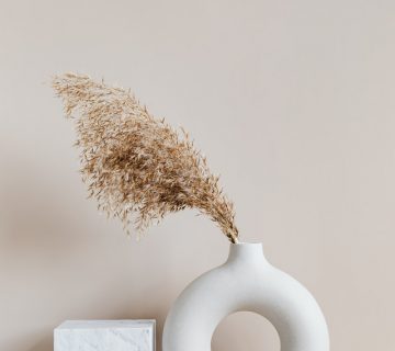 Brown plant on white ceramic vase 4207892 360x320