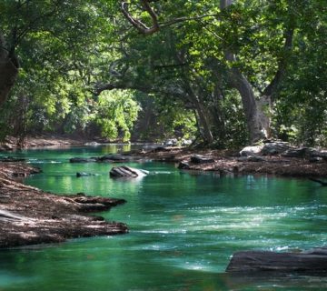 Body of water between green leaf trees 709552 360x320