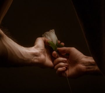 Person holding white and pink rose 4482660 1 360x320
