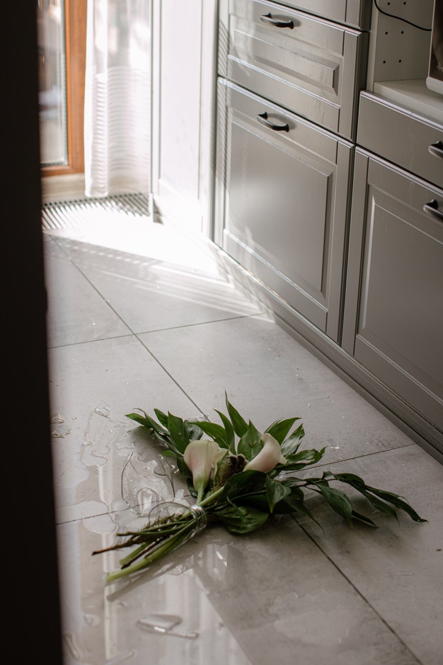 Green plant on white ceramic floor tiles 4512767