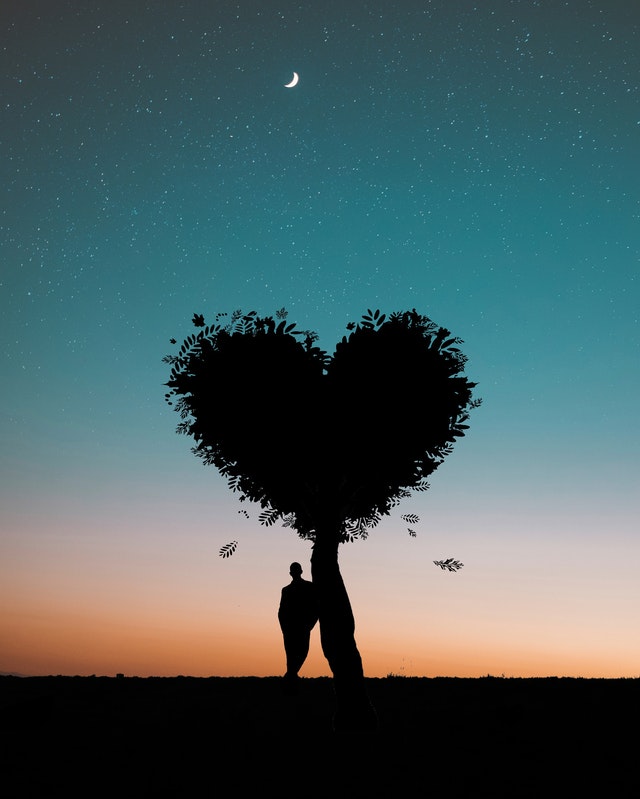 Silhouette photo of man leaning on heart shaped tree 744667