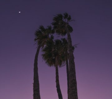 Pexels brady knoll 3744162 360x320