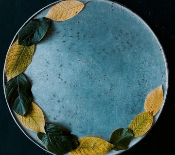 Pexels agnese lunecka 13805184 360x320