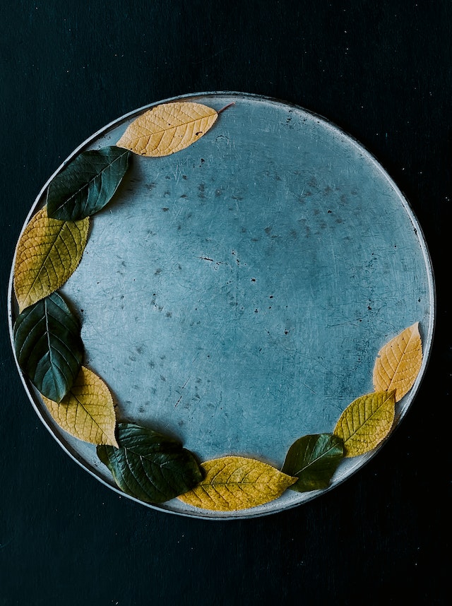 Pexels agnese lunecka 13805184