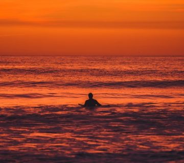 Pexels brady knoll 2837569 360x320