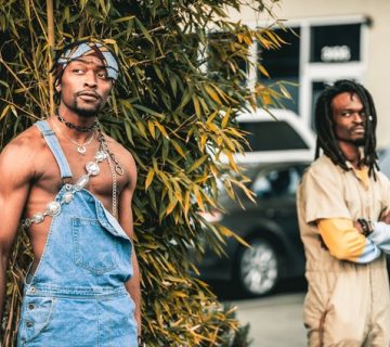 Pexels brett sayles 4250326 360x320