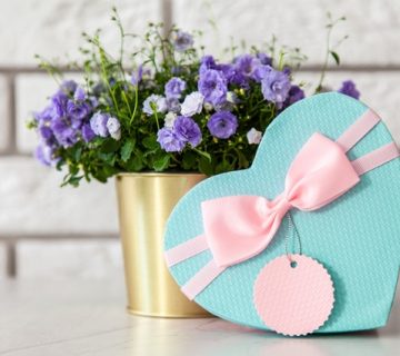 Pexels giftpunditscom 2072148 360x320