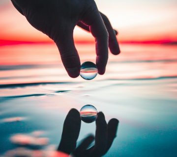 Pexels paul theodor oja 2393736 360x320