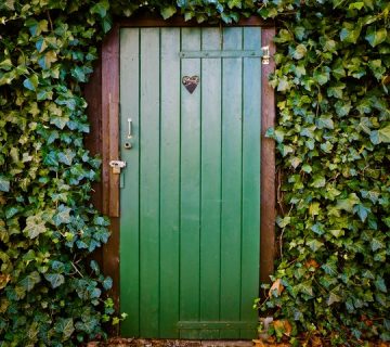 Pexels pixabay 277552 360x320