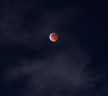 Pexels roberto nickson 2775580 360x320