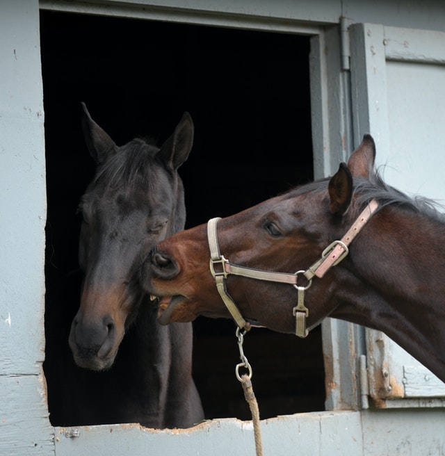 Pexels richard decruz 5840778