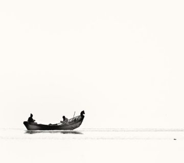 Pexels jayant kulkarni 910213 360x320