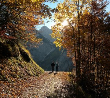 Pexels heinz klier 845716 360x320