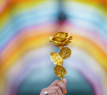 Pexels kaushal moradiya 2884844 360x320