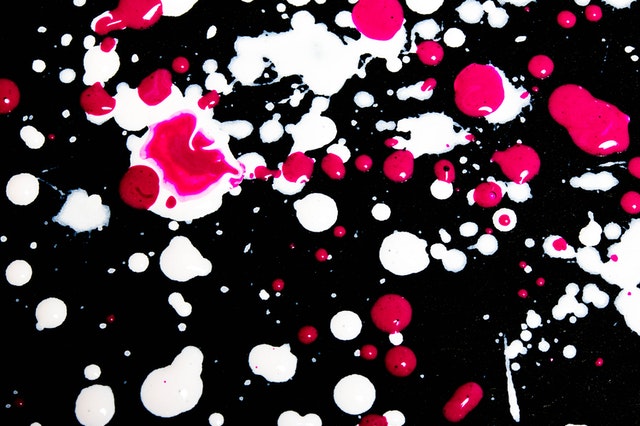 Pexels shelly still 4630346