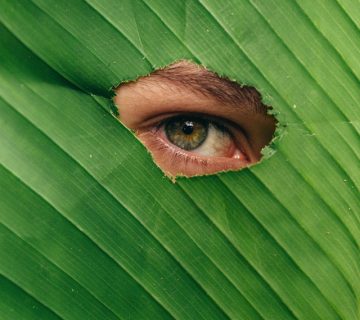 Pexels ana madeleine uribe 4969718 360x320