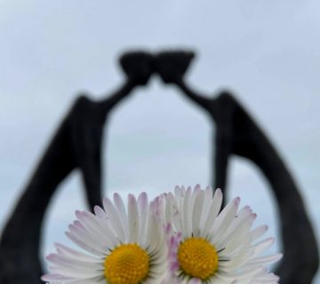 Pexels sunsetoned 5913326 360x320