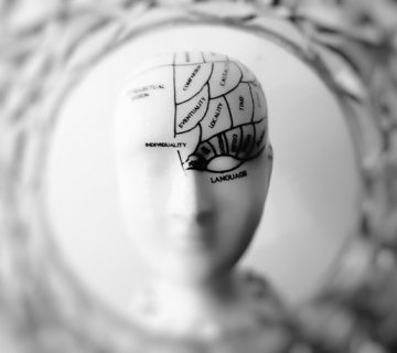 Pexels meo 724994 360x320