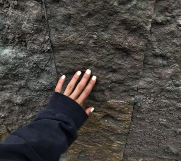 Pexels daria shevtsova 8285476 360x320