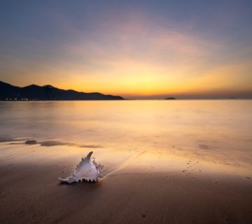 Pexels quang nguyen vinh 4078076 360x320