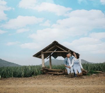 Pexels hong son 3942875 360x320