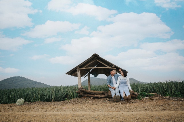 Pexels hong son 3942875