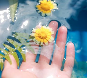 Pexels spring toan 3854477 360x320