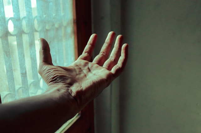 Pexels albin biju 9522477