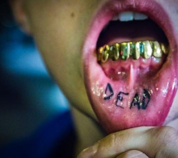 Pexels alex alexander 772850 360x320